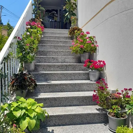 Apartment Marjana Sarande