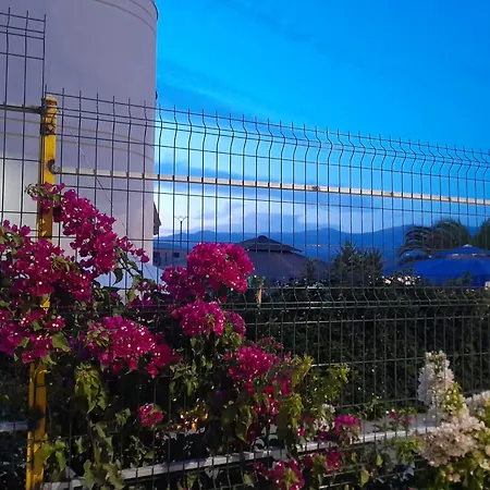 Marjana * Sarandë